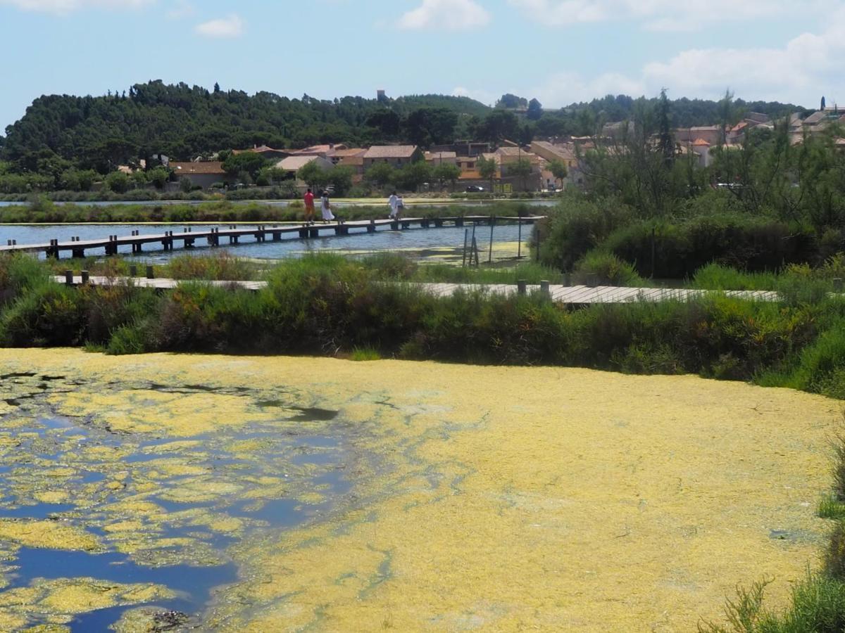 La Closerie Des Iris Castelnau-d'Aude Экстерьер фото